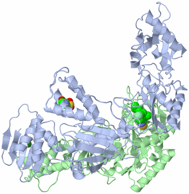 Image Asym./Biol. Unit