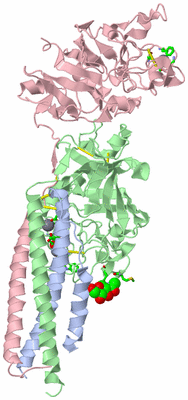 Image Biol. Unit 1 - sites