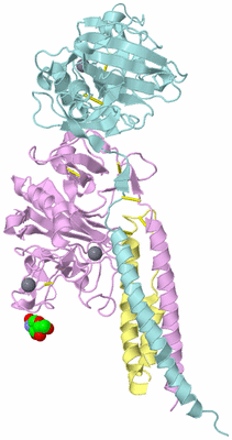 Image Biological Unit 2