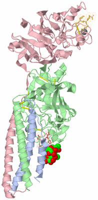 Image Biological Unit 1