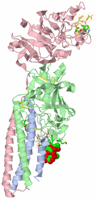 Image Biol. Unit 1 - sites