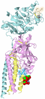 Image Biological Unit 2