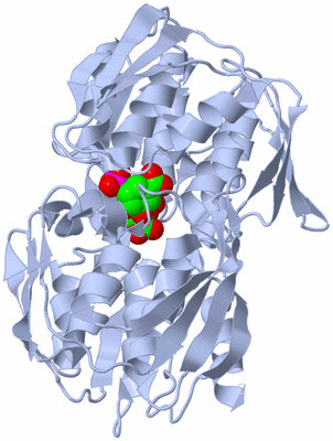 Image Biological Unit 1