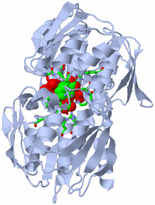 Image Biol. Unit 1 - sites