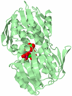 Image Biological Unit 2