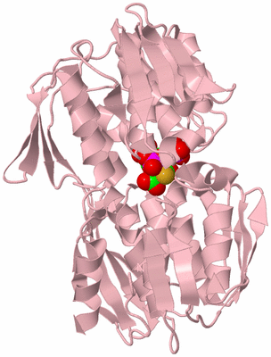 Image Biological Unit 3