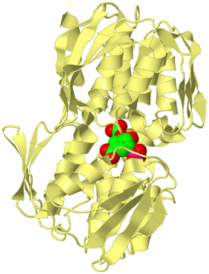 Image Biological Unit 4