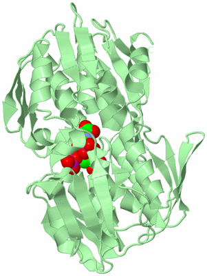 Image Biological Unit 2