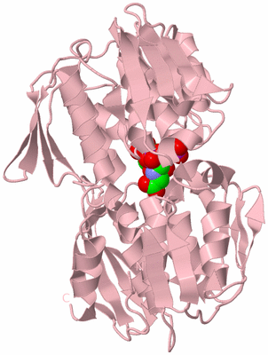 Image Biological Unit 3