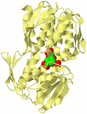 Image Biological Unit 4