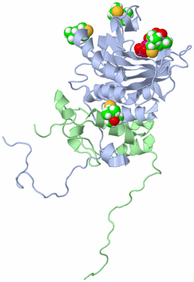 Image NMR Structure - model 1