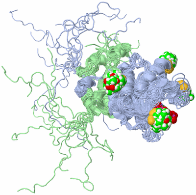 Image NMR Structure - all models