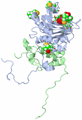 Image NMR Structure - model 1, sites