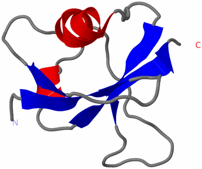 Image NMR Structure - model 1