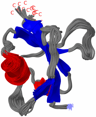 Image NMR Structure - all models