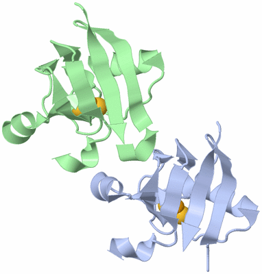 Image Asymmetric Unit