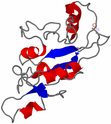 Image NMR Structure - model 1