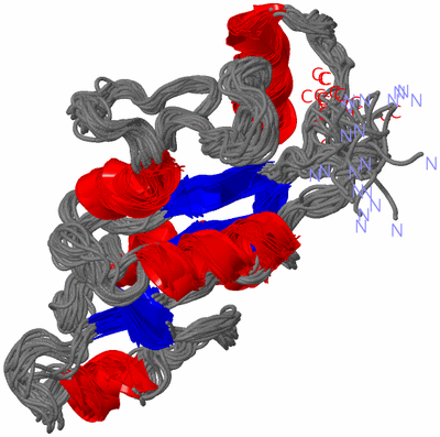 Image NMR Structure - all models