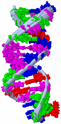 Image NMR Structure - all models