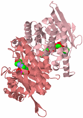 Image Biological Unit 3