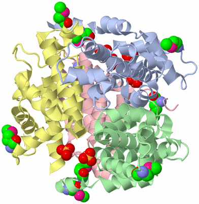 Image Asym./Biol. Unit