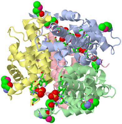 Image Asym./Biol. Unit - sites