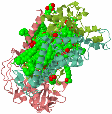 Image Asym./Biol. Unit - sites