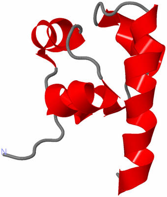 Image NMR Structure - model 1