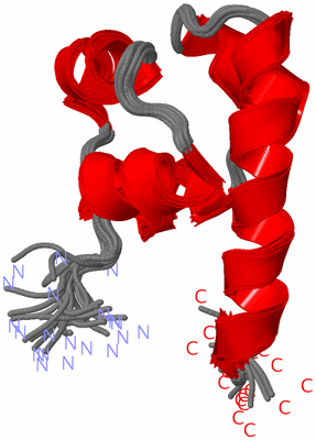 Image NMR Structure - all models