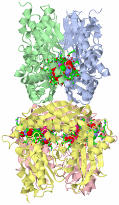 Image Asym./Biol. Unit - sites