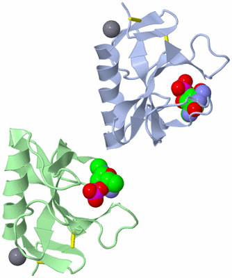 Image Asymmetric Unit