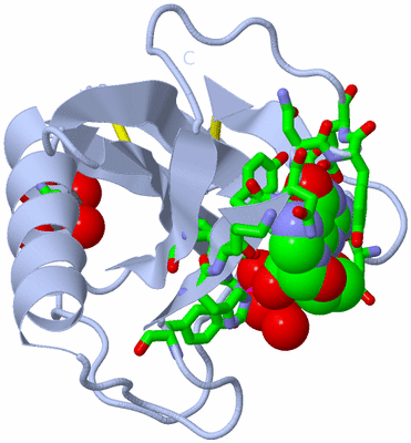 Image Biol. Unit 1 - sites