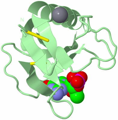 Image Biological Unit 2