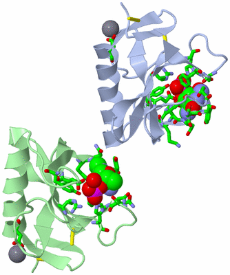 Image Asym. Unit - sites