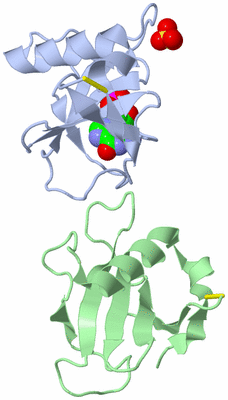 Image Asym./Biol. Unit