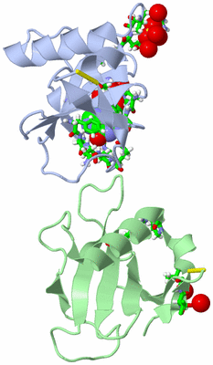 Image Asym./Biol. Unit - sites