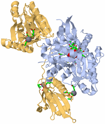 Image Asym./Biol. Unit - sites