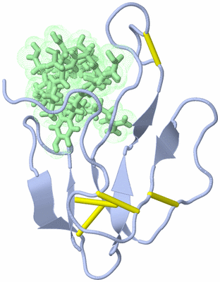 Image NMR Structure - model 1