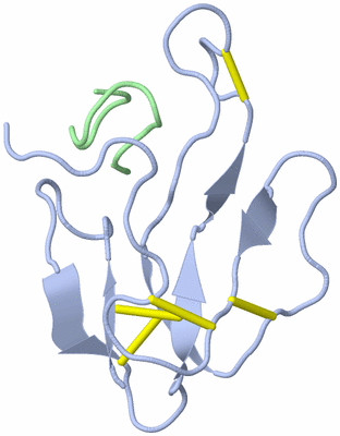 Image NMR Structure - all models