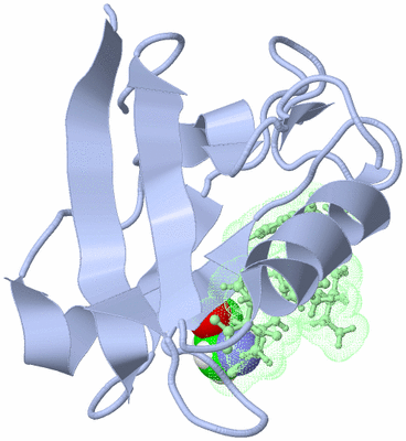 Image NMR Structure - model 1