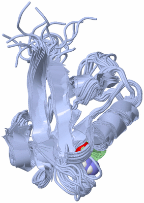 Image NMR Structure - all models