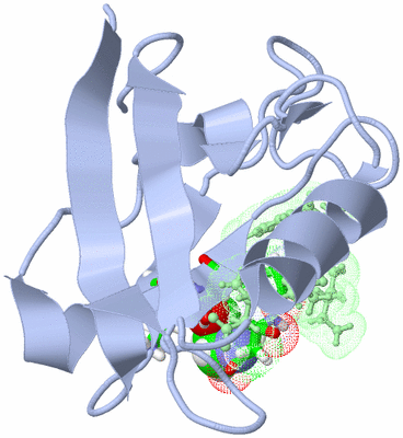 Image NMR Structure - model 1, sites