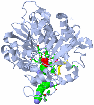 Image Biol. Unit 1 - sites