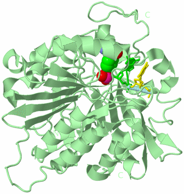 Image Biological Unit 2