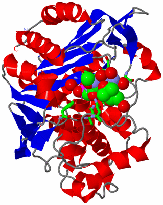 Image Asym./Biol. Unit - sites