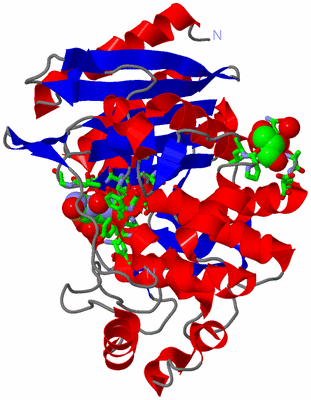 Image Asym./Biol. Unit - sites