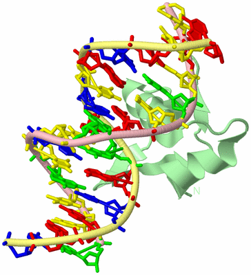 Image Biological Unit 1