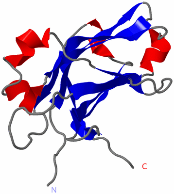 Image NMR Structure - model 1