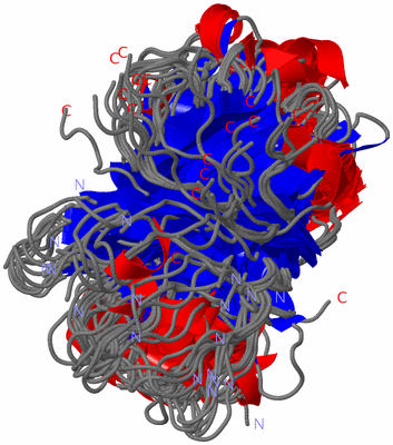 Image NMR Structure - all models