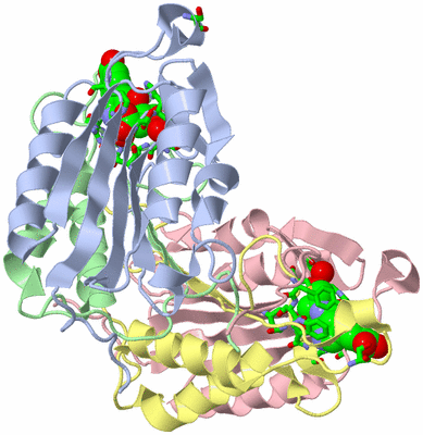 Image Biol. Unit 1 - sites